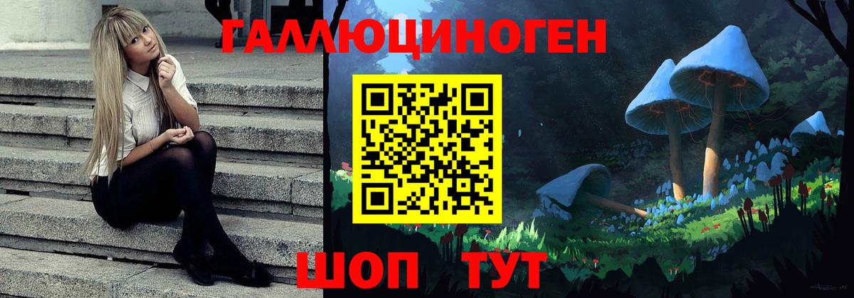 Сальск  Псилоцибиновые грибы прущие грибы  Галлюциногенные грибы прущие грибы  Вход с VPN 