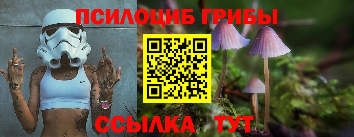 Псилоцибиновые грибы мухоморы Сальск